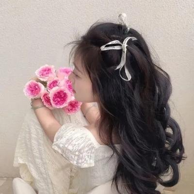 小老鼠历险记